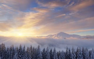 Картинка небо, снег, деревья, зима, горы, сосны, облака, oleksandr kotenko, восход