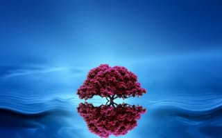 Картинка дерево, волна, отражение