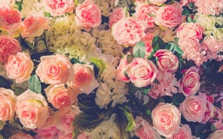 Картинка цветы, лепестки, розы, букет, бутоны