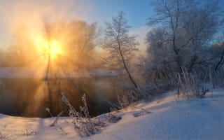 Картинка солнце, лес, снег, zhmak evgeniy, природа, утро, зима
