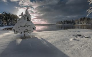 Картинка небо, природа, озеро, облака, лес, ель, зима, деревья, снег