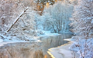 Картинка деревья, снег, зима, природа, река, лес, ветки