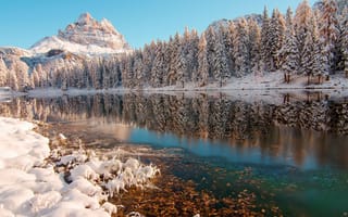 Обои деревья, отражение, лес, горы, река, зима, снег, природа