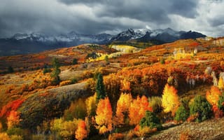 Картинка деревья, колорадо, горы, лес, сша, листья, осень