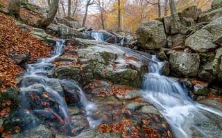 Обои камни, осень, речка, листья, краски осени, лес, водопад
