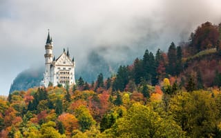 Картинка природа, бавария, лес, замок, осень, германия, ношванштайн, нойшванштайн