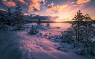 Картинка небо, облака, деревья, пейзаж, ночь, снег, зима, природа