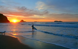 Картинка закат, море, собака, сёрфер, пляж