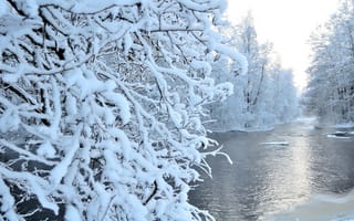 Картинка река, лес, природа, снег, зима