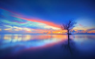 Картинка озеро, закат, chaiyun, дерево, отражение, пейзаж