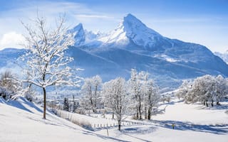 Картинка деревья, природа, горы, снег, бавария, зима, альпы