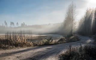 Картинка дорога, туман, природа, зима, иней, деревья