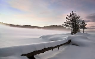 Картинка снег, зима, природа, пейзаж, забор, strahil dimitrov
