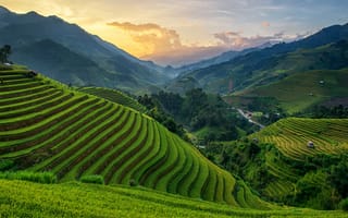 Картинка холмы, пейзаж, закат, плантации, природа, chanwity, му кан чай, вьетнам