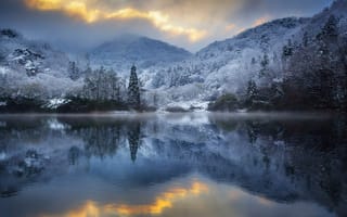 Картинка деревья, зима, отражение, горы, природа, озеро