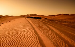 Обои пейзаж, следы, песок, пустыня, дюны