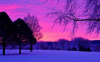 Картинка деревья, закат, природа, зима, вечер
