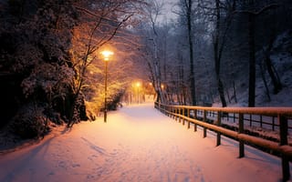 Картинка свет, парк, фонари, mario zanella, зима, природа, ночь
