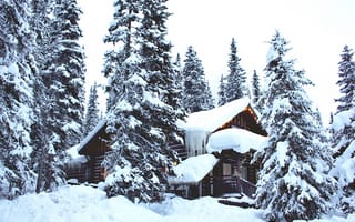 Картинка деревья, лес, зима, домик, дом, снег