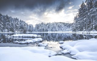 Картинка деревья, снег, лес, зима, река, aamarius kaniewskis, природа