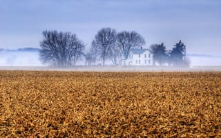 Картинка небо, ферма, деревья, поле, туман, канзас