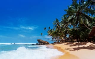 Картинка небо, пальмы, залив, пляж, волны, берег, карибский бассейн, пейзаж, море, природа, песок, тропики, остров