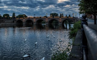 Картинка фонари, вечер, белые лебеди, город, мост, англия, severn, в река, птицы, worcester, река