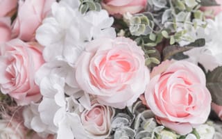 Картинка цветы, бутоны, лепестки, розовые, белые, розы