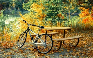 Картинка природа, скамейки, пруд, парк, листопад, осень, желтые, ветки, велик, велосипед, отдых, уют, стол, настроение, листья, берег
