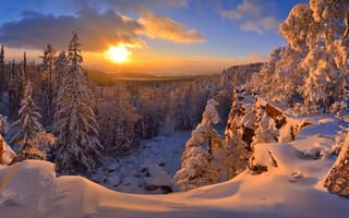 Картинка снег, зима, лес, закат
