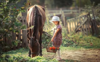 Картинка лошадь, девочка, рябина, корзина