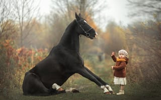 Картинка лошадь, малышка, девочка, дрессура