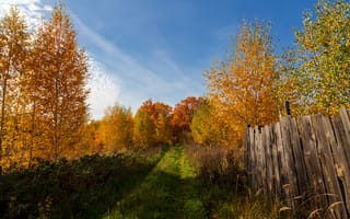 Картинка деревья, пейзаж, забор, осень