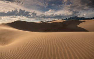 Обои песок, пустыня