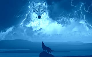 Картинка животные, природа, волк, дикий, хищник, ночь, небо