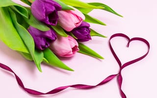 Картинка цветы, сердце, тюльпаны, букет, лента