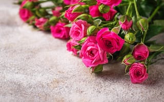 Картинка цветы, бутоны, лепестки, розы, розовые, букет