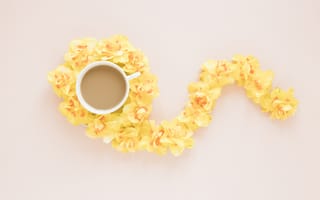 Картинка цветы, кофе, чашка, орхидеи, желтые, композиция