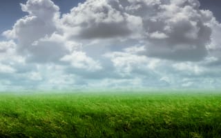 Картинка облака, растения, поле, пейзаж