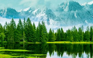 Картинка деревья, озеро, природа, туман, горы, лес