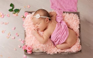 Картинка цветы, розы, ящик, девочка, лепестки, ребенок, младенец, ткань, сон, малышка
