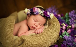 Обои цветы, сон, ткань, дети, мешковина, младенец, девочка, венок, ребенок