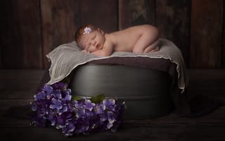 Картинка цветы, сон, дитя, младенец, композиция, дети, спит, ребенок, новорожденный