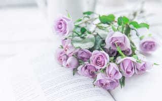Картинка цветы, розы, книга, фиолетовые, букет