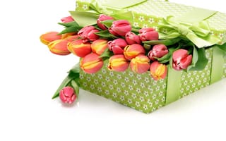 Картинка цветы, букет, тюльпаны, бантик, . коробка, белый, подарок