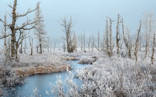 Картинка река, зима, иней