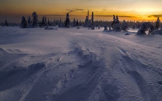 Картинка ночь, снег, поле, зима