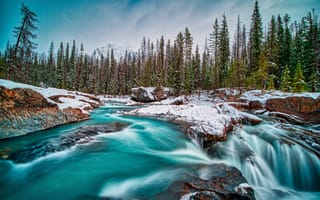 Картинка река, снег, лес, канада, йохо национальный парк, британская колумбия