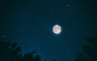 Картинка небо, ночь, деревья, луна, звезды, природа