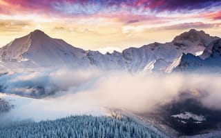 Картинка небо, облака, скалы, снег, туман, лес, горы, зима, природа